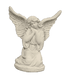 Angelopen-wing-0416-removebg-preview