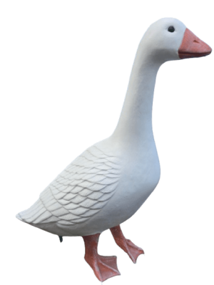 8855