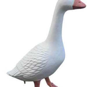 8855